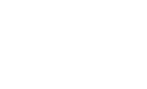Meet the team